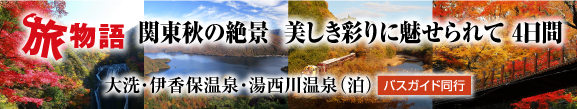 IBS TRAVEL IBSのおすすめツアー